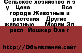 Сельское хозяйство и з/у › Цена ­ 2 500 000 - Все города Животные и растения » Другие животные   . Марий Эл респ.,Йошкар-Ола г.